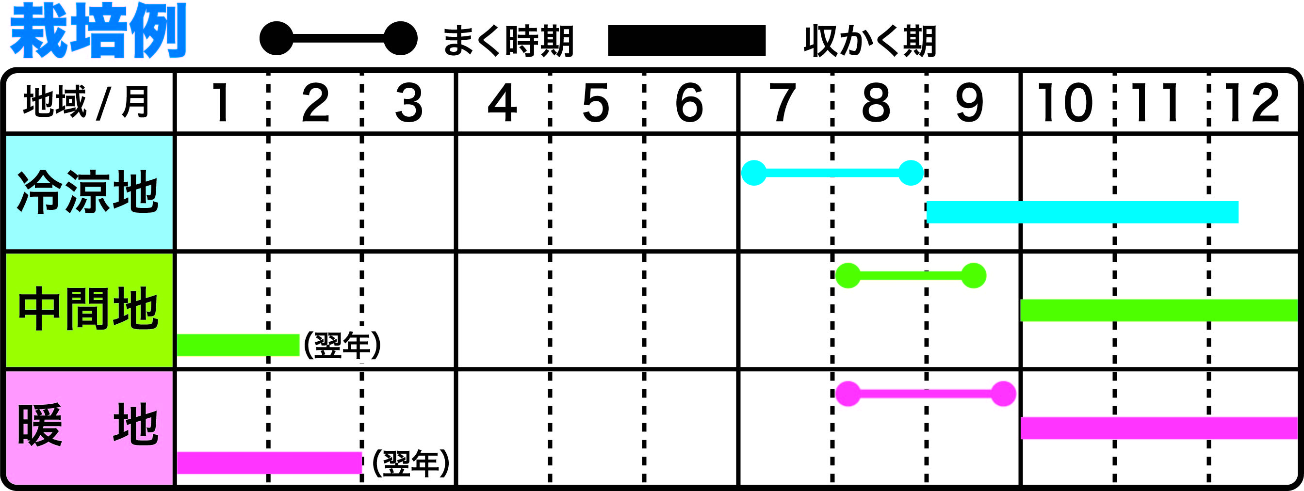 葉菜類 野菜のタネまき時期早見表 株式会社トーホク