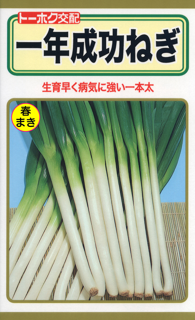 最大91％オフ！ ネギ 種 早太り一本 YTC40 葱 5ml 1袋 タネ