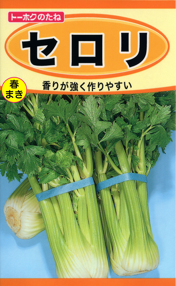 セロリ 野菜のタネ 株式会社トーホク