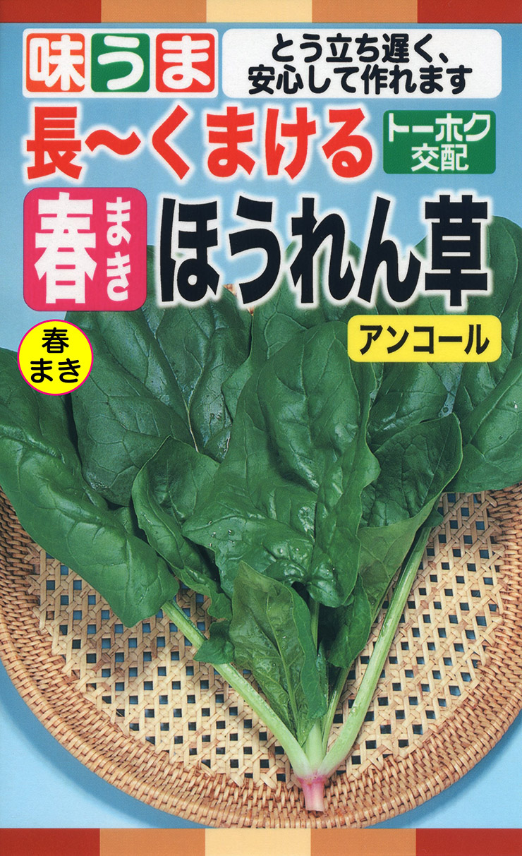 ホウレンソウ（春まき） | 品種の使い分け | 株式会社トーホク