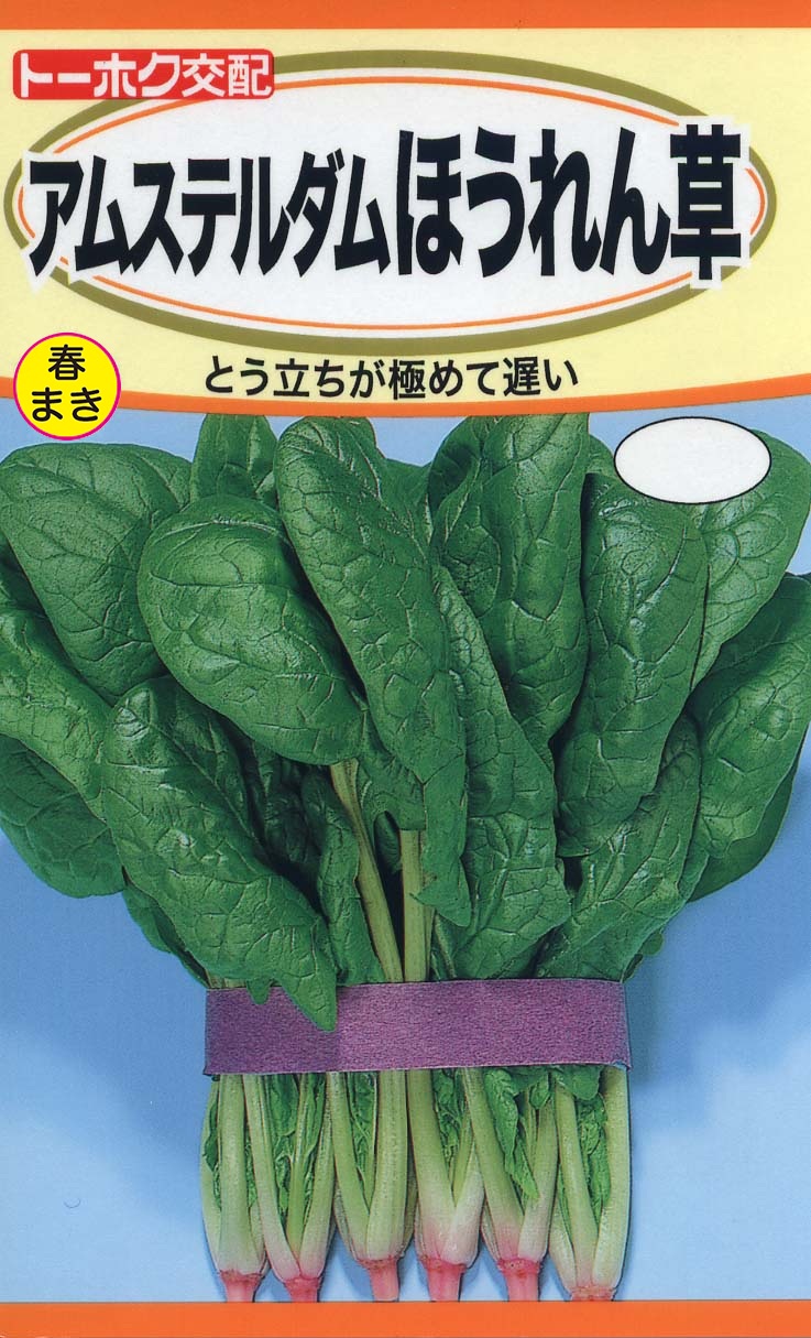 ホウレンソウ | 野菜のタネ | 株式会社トーホク