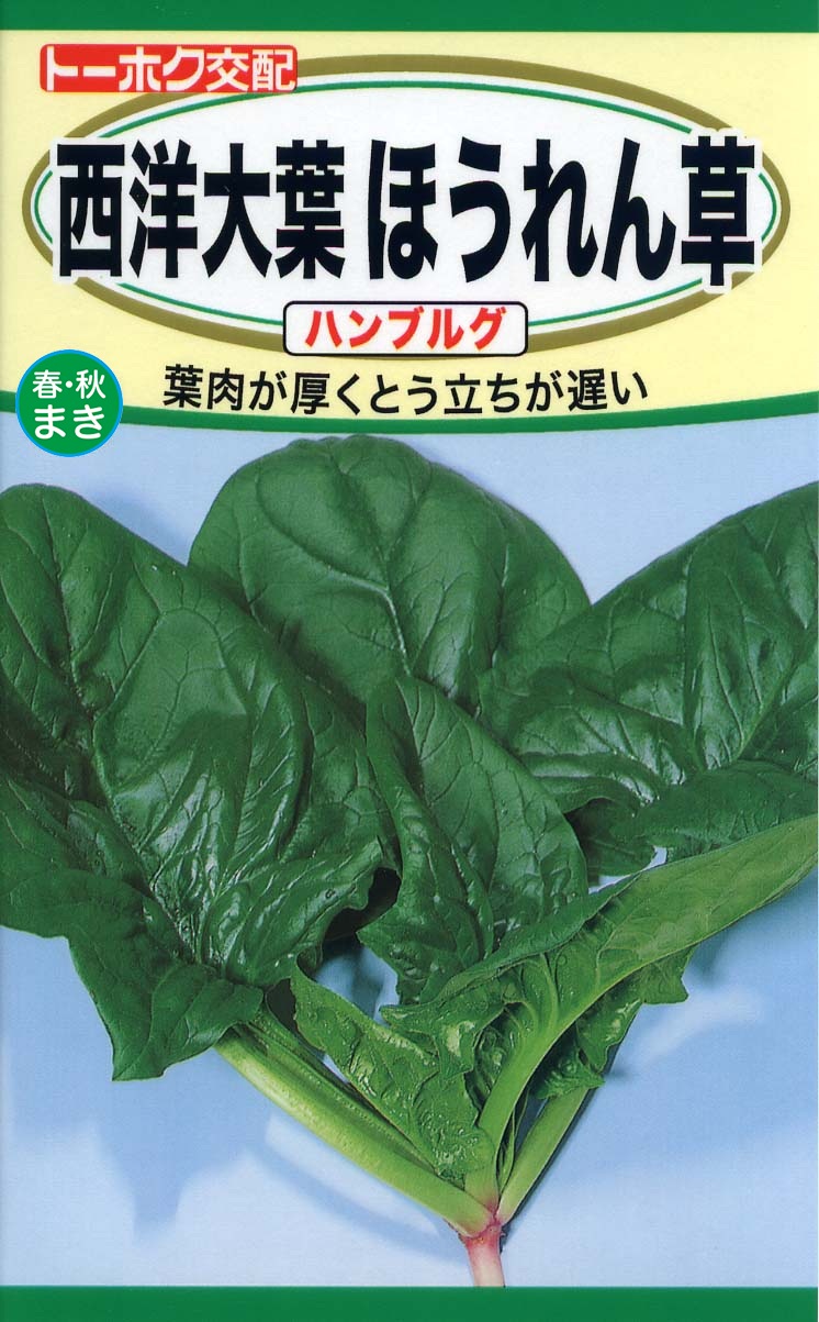 ホウレンソウ | 野菜のタネ | 株式会社トーホク